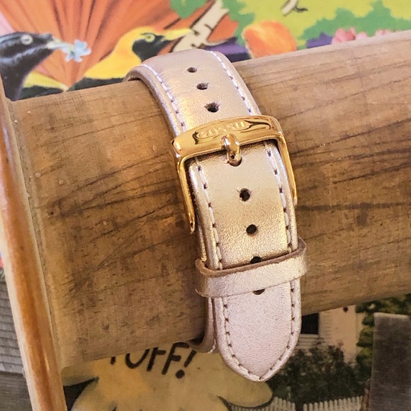 Topographer 3-Hand Date Rose Gold  Polyurethane Fossil Watch - Picture 7 of 11